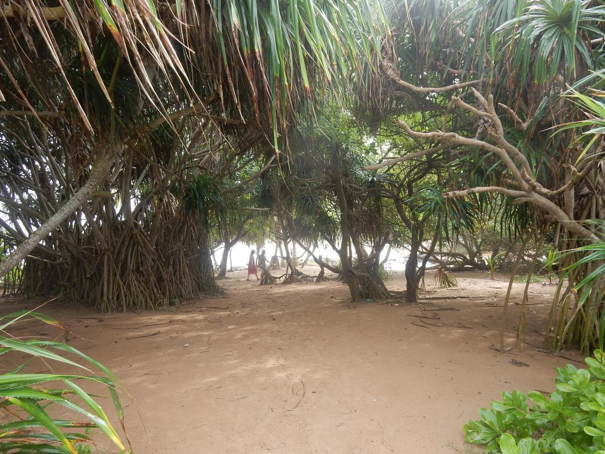 بينتوتا Sisanda Residence المظهر الخارجي الصورة