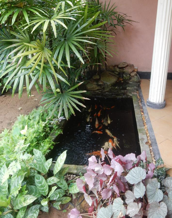 بينتوتا Sisanda Residence المظهر الخارجي الصورة